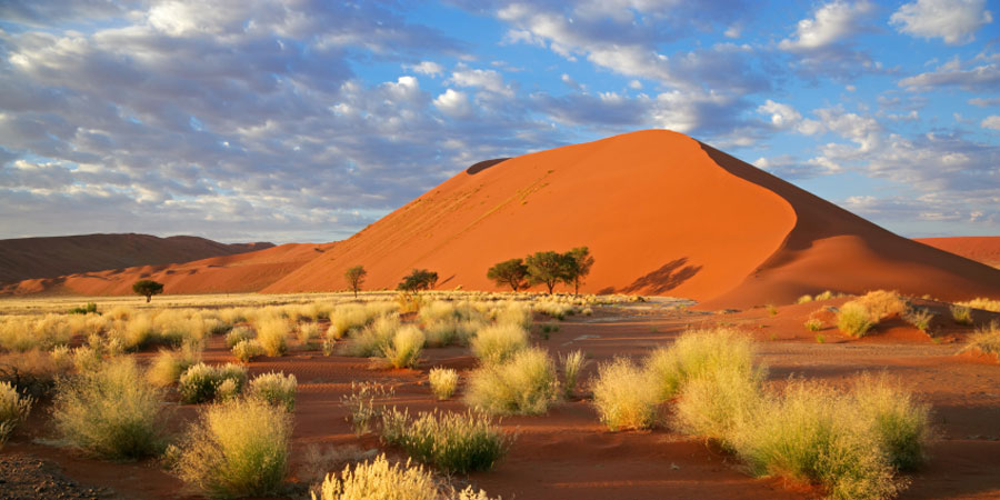 Sossusvlei Dunes