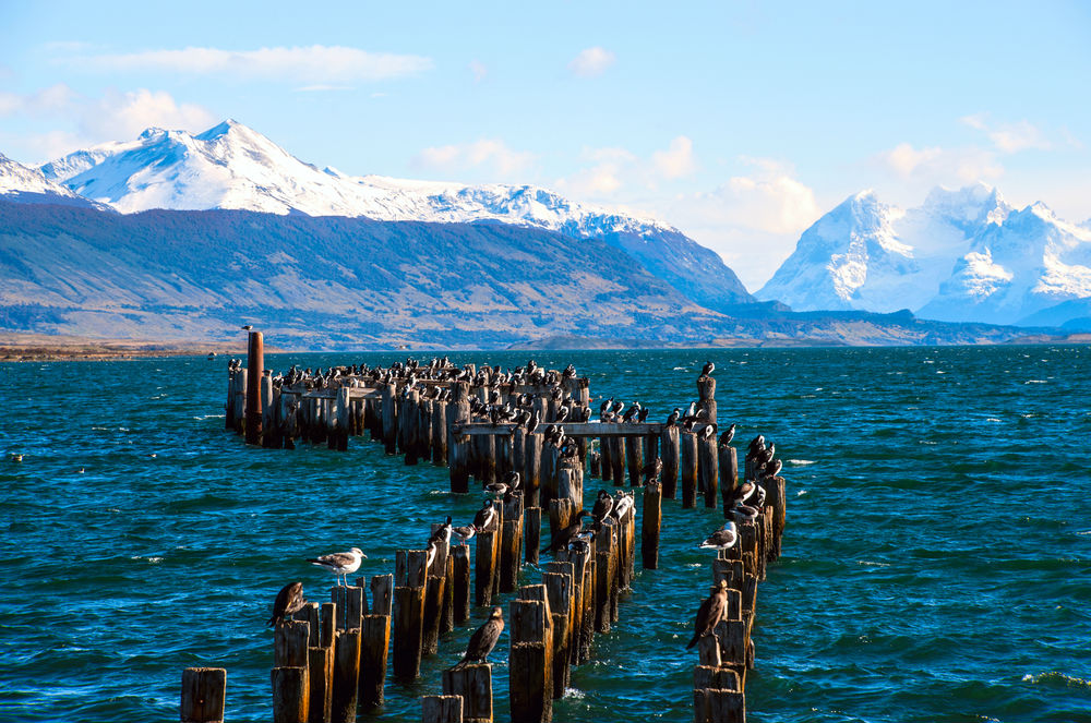 Fjords of Patagonia