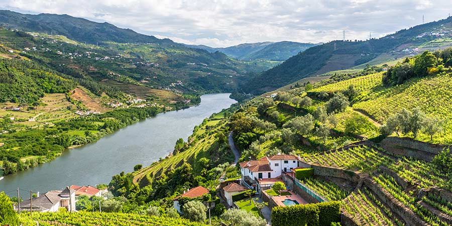 The Douro river runs through lush green vineyards. 